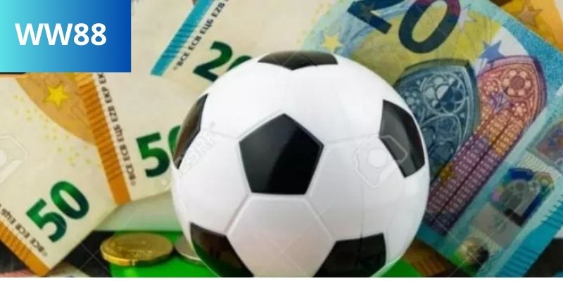 Tại sao kèo 0.5 tại ww88 lại hot đến vậy