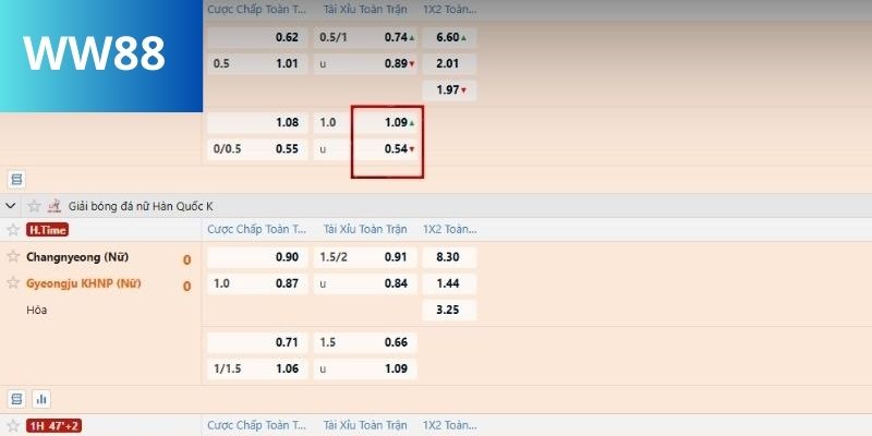 Bí quyết đặt cược kèo Tài Xỉu ww88 nâng cao tỷ lệ thắng